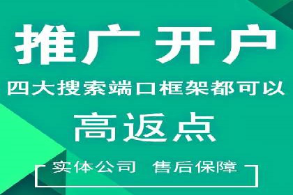 百度SEO优化公司案例：打造品牌网络曝光新高度